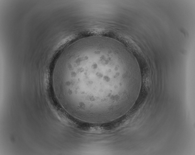 X0000112770591200908201509