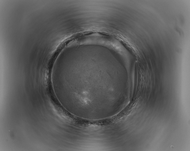 X0000112770592200908201509