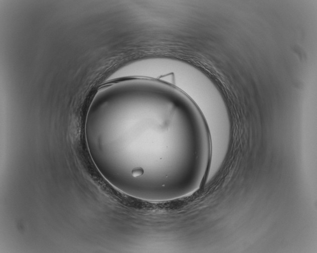 X0000112770593200908201509