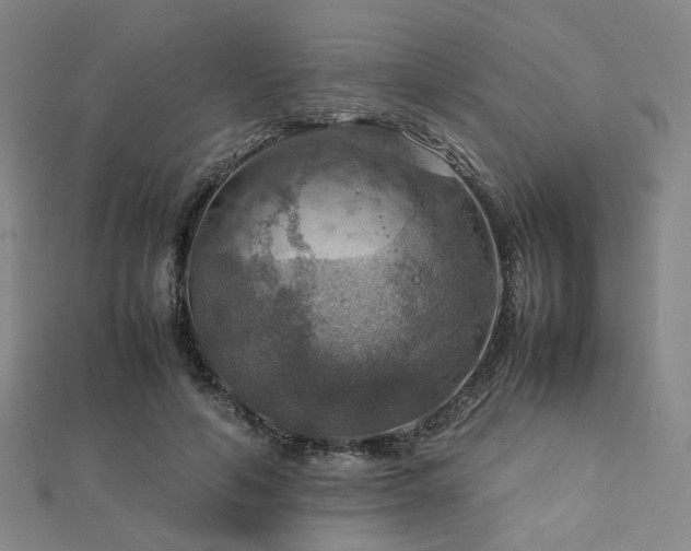 X0000112770594200908201509