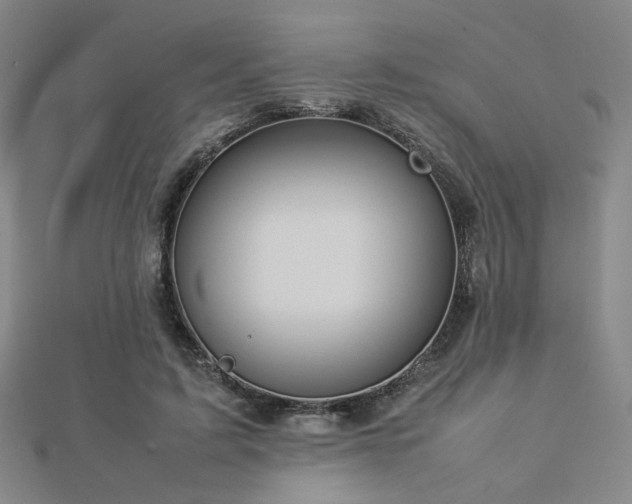 X0000112770595200908201509