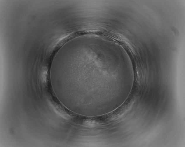 X0000112770596200908201509