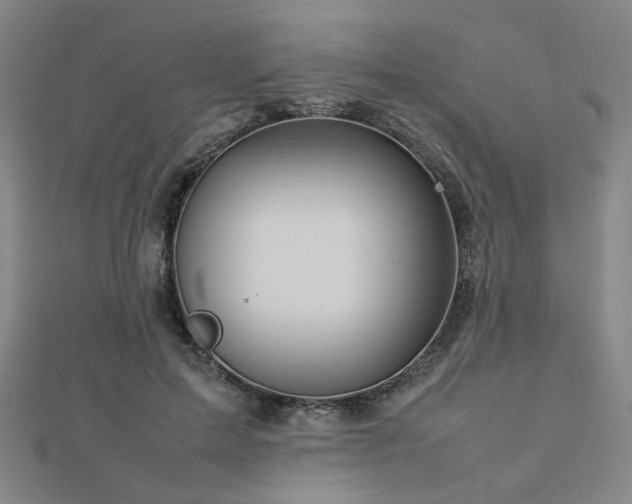 X0000112770599200908201509