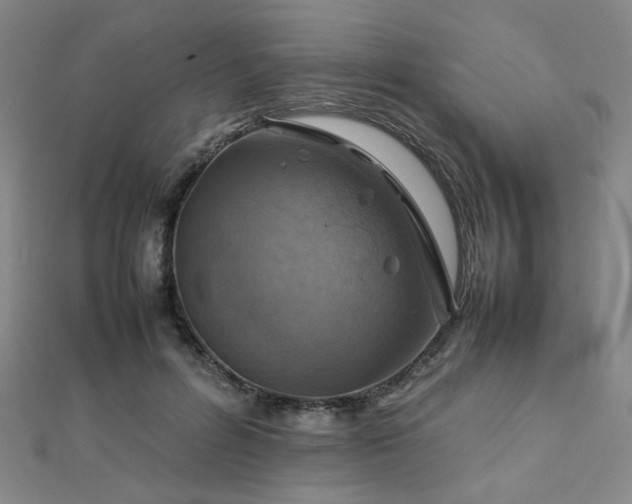 X0000112770600200908201509