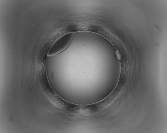 X0000112770601200908201509