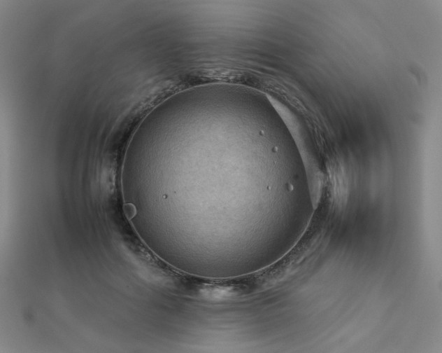 X0000112770602200908201509