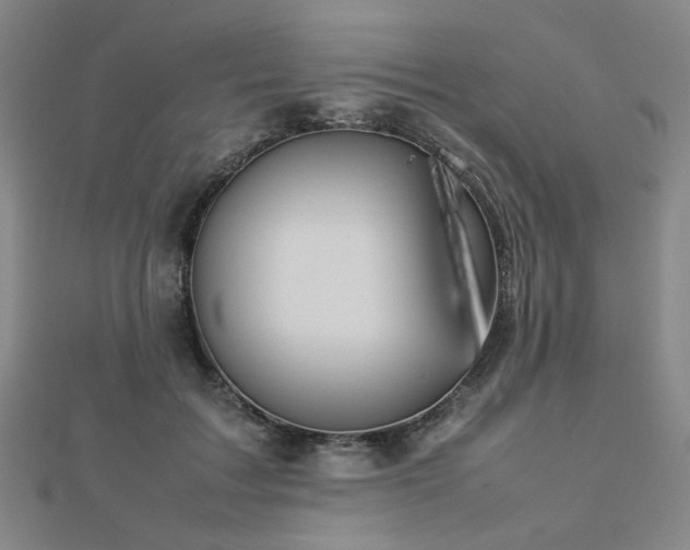 X0000112770603200908201509