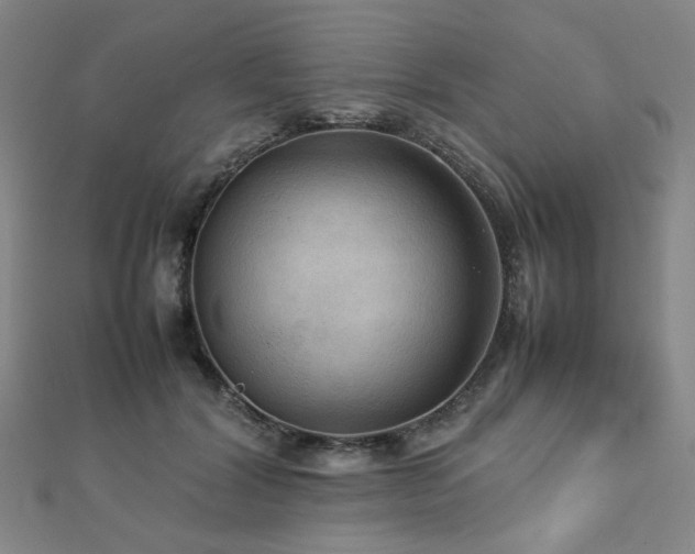 X0000112770604200908201509
