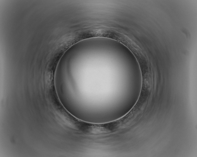 X0000112770605200908201509