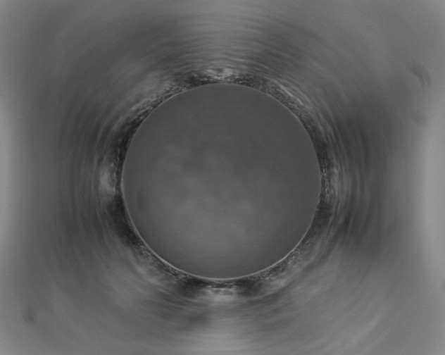 X0000112770606200908201509