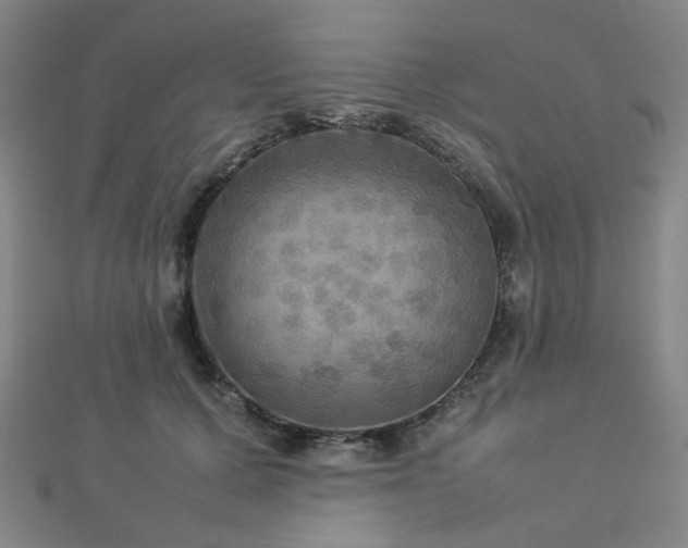 X0000112770607200908201509