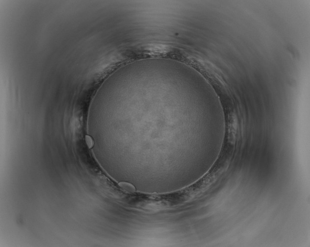 X0000112770608200908201509