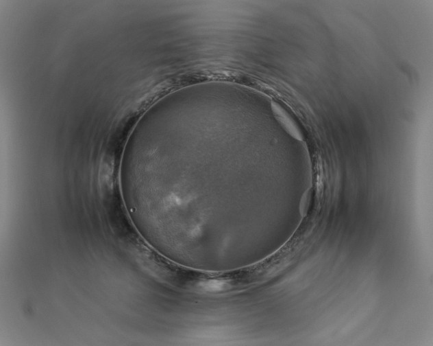 X0000112770610200908201509
