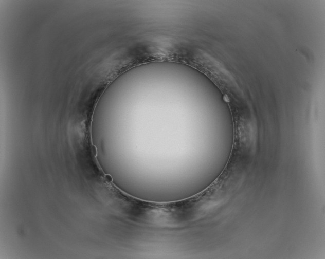 X0000112770611200908201509