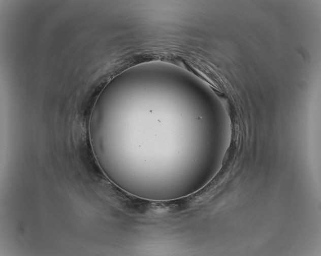 X0000112770613200908201509