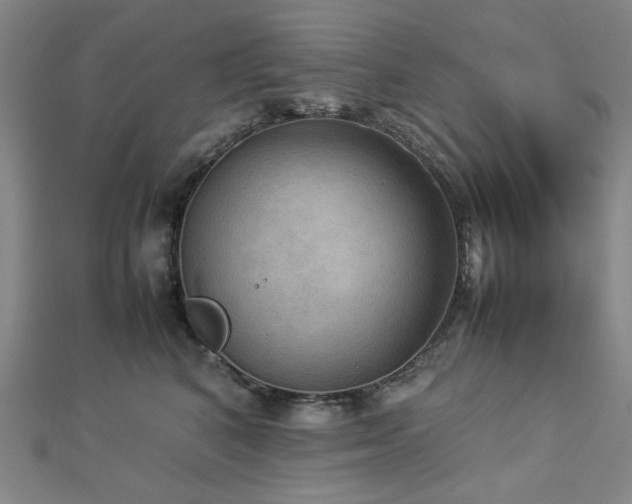 X0000112770616200908201509