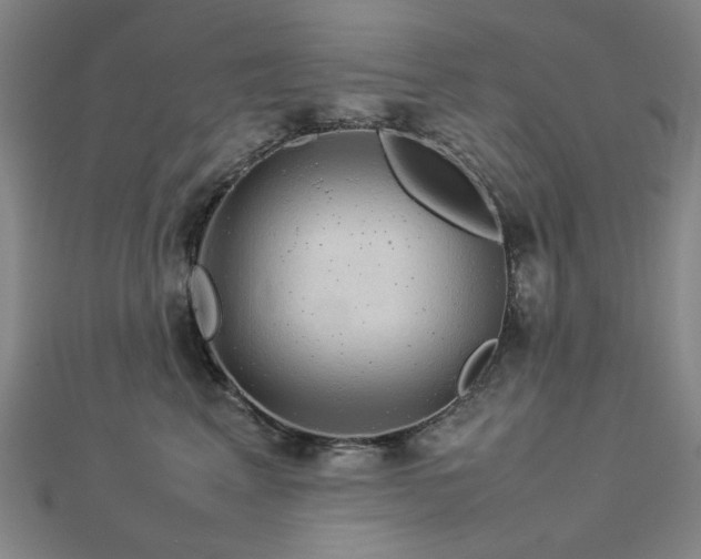 X0000112770617200908201509