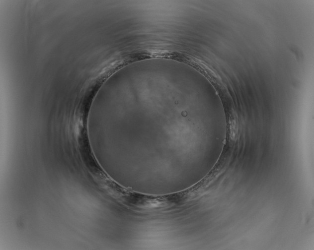 X0000112770618200908201509