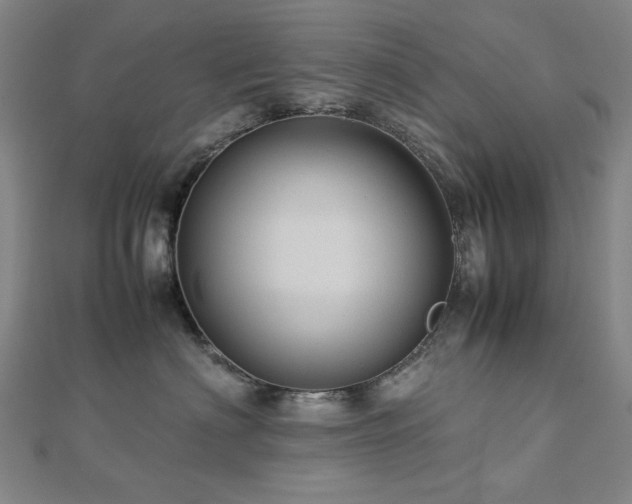 X0000112770622200908201509