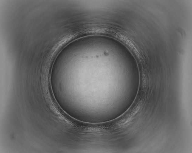 X0000112770625200908201508