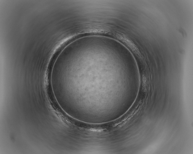 X0000112770628200908201508