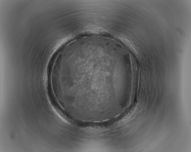 X0000112770630200908201508