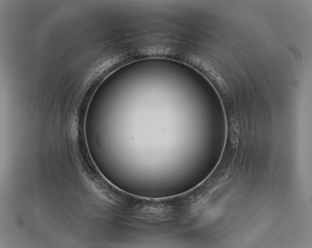 X0000112770631200908201508