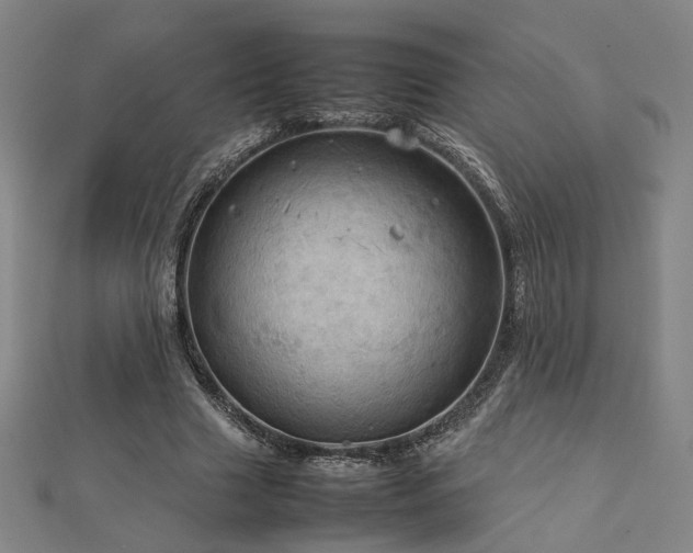 X0000112770633200908201508