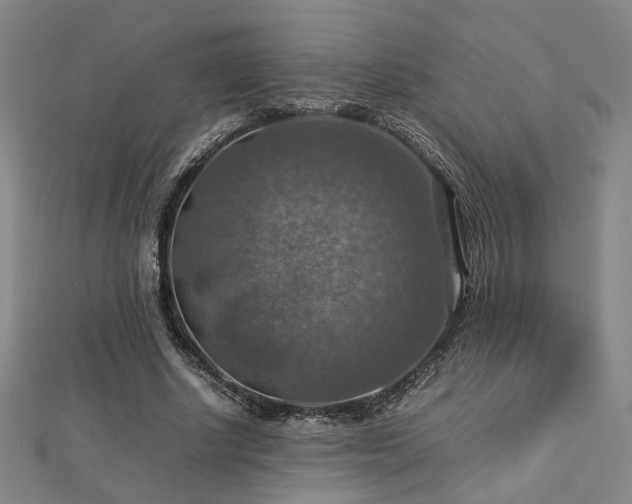 X0000112770634200908201508
