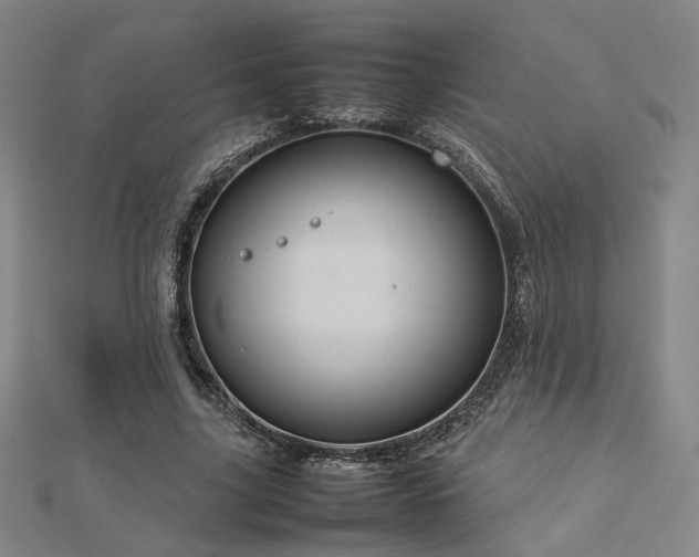 X0000112770635200908201508