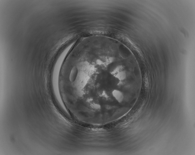 X0000112770637200908201508