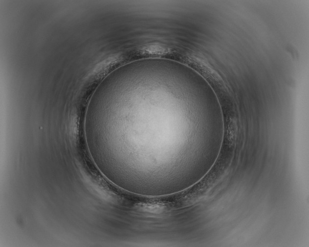 X0000112770639200908201508