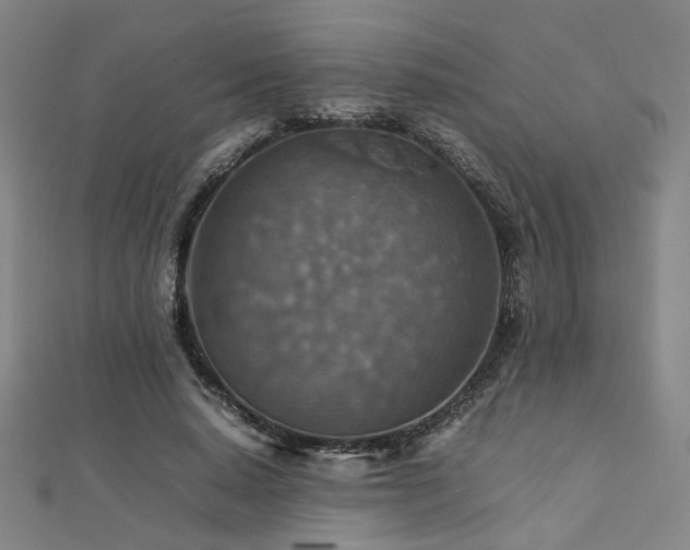 X0000112770640200908201508