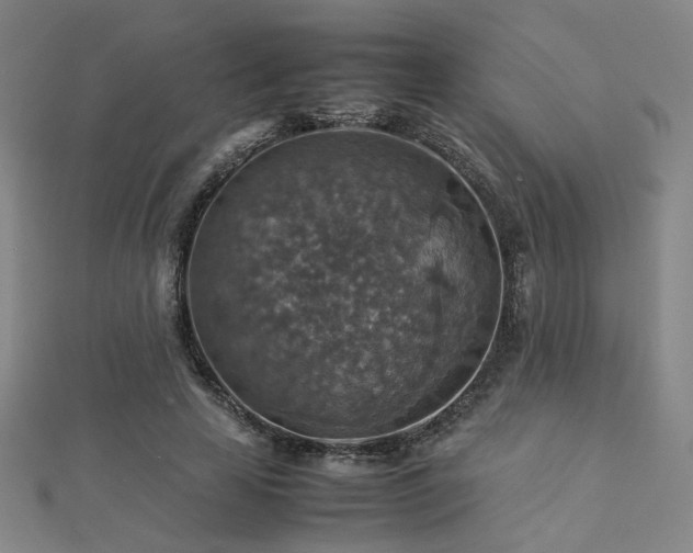 X0000112770641200908201508