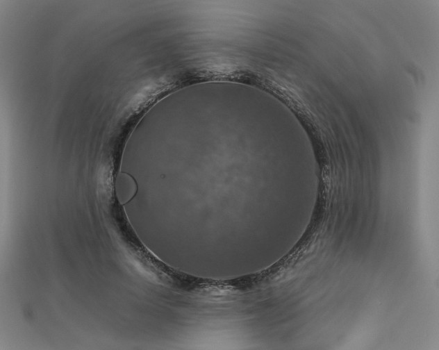 X0000112770642200908201508
