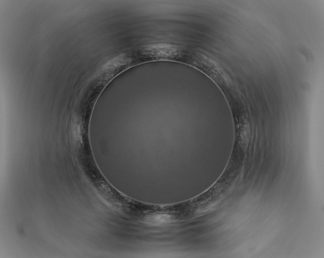 X0000112770643200908201508