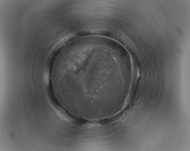 X0000112770644200908201508