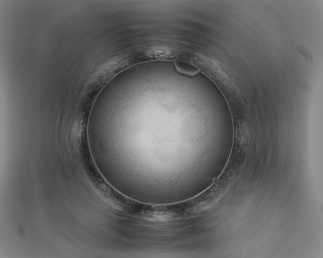 X0000112770645200908201508