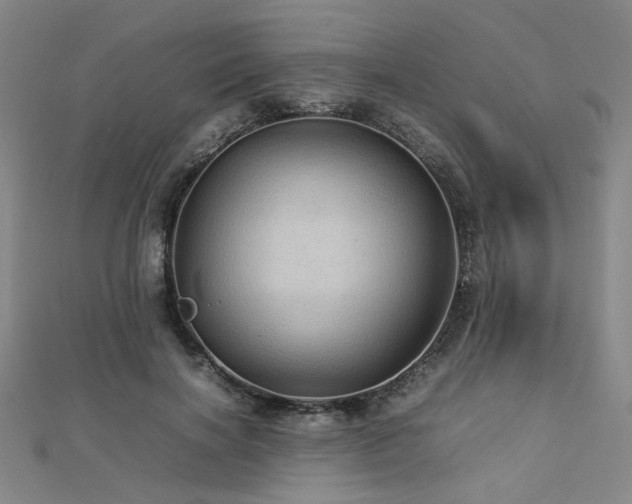 X0000112770646200908201508