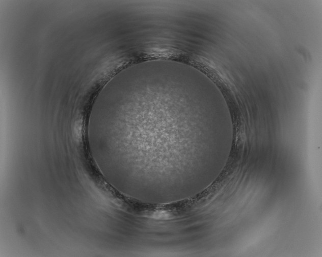 X0000112770647200908201509