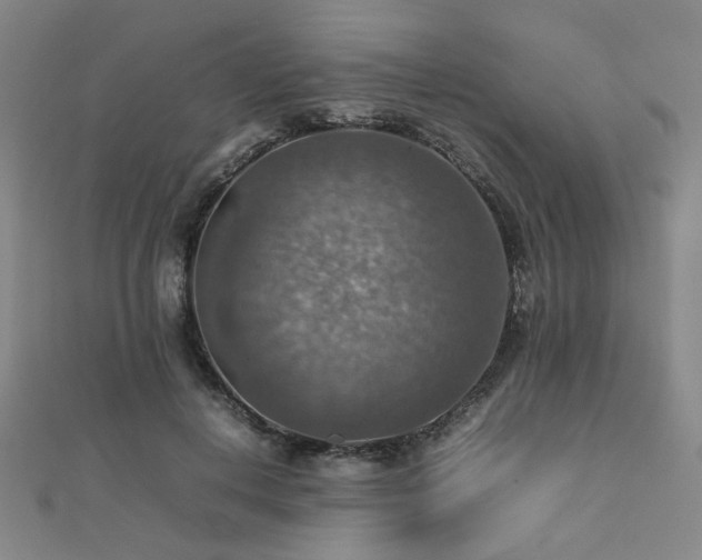 X0000112770648200908201509
