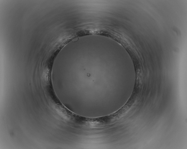 X0000112770650200908201509