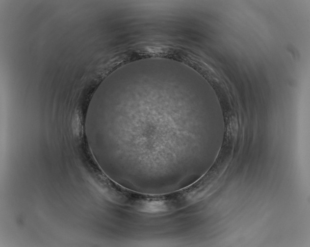 X0000112770651200908201509