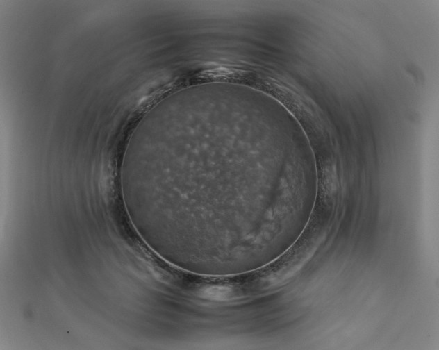 X0000112770653200908201509
