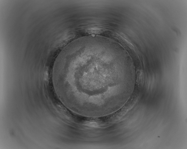 X0000112770655200908201509