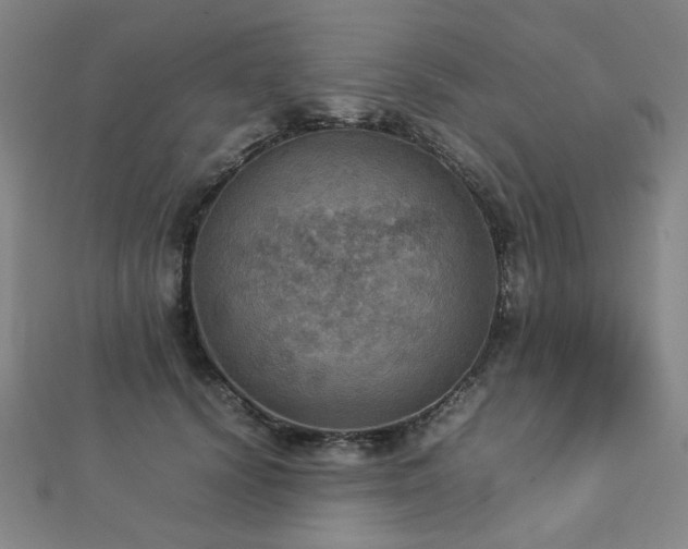 X0000112770656200908201509