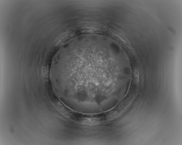 X0000112770657200908201509