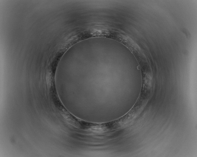 X0000112770659200908201509