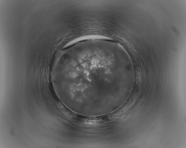 X0000112770661200908201509