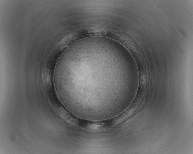 X0000112770662200908201509